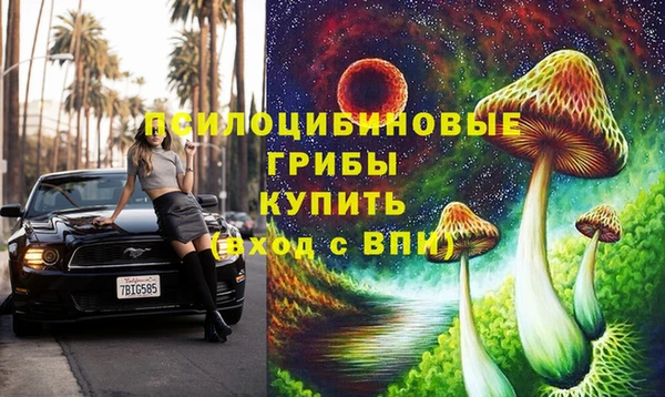 тгк Алзамай