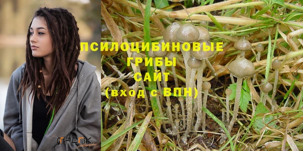ECSTASY Алексеевка