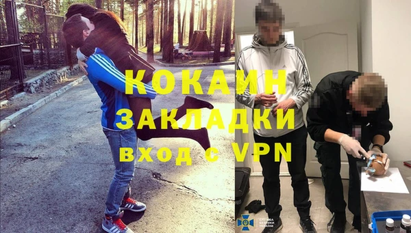 тгк Алзамай