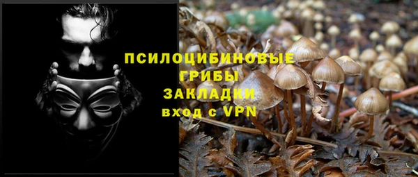 дурь Абинск