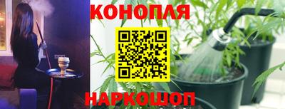 МДПВ Краснознаменск