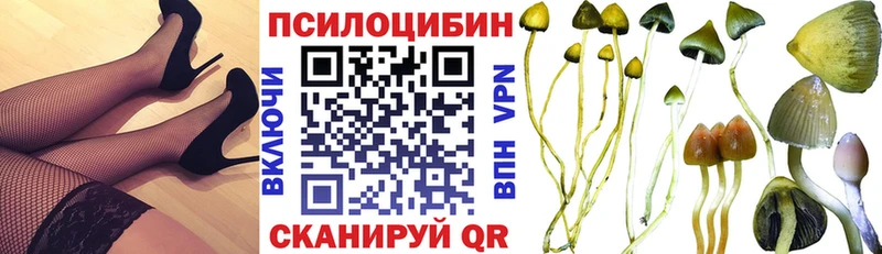 Псилоцибиновые грибы Psilocybine cubensis  дарнет шоп  Заводоуковск 