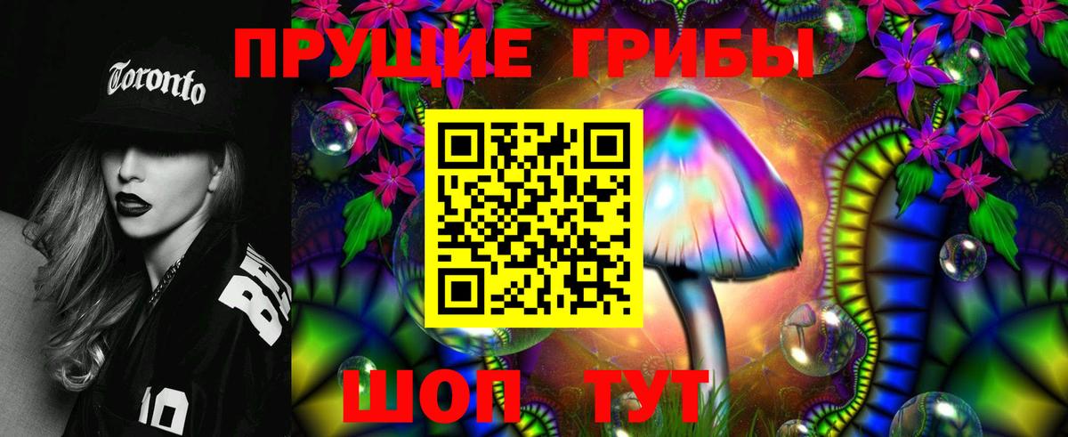 Псилоцибиновые грибы Psilocybine cubensis  хочу наркоту  Заводоуковск  Вход с VPN 