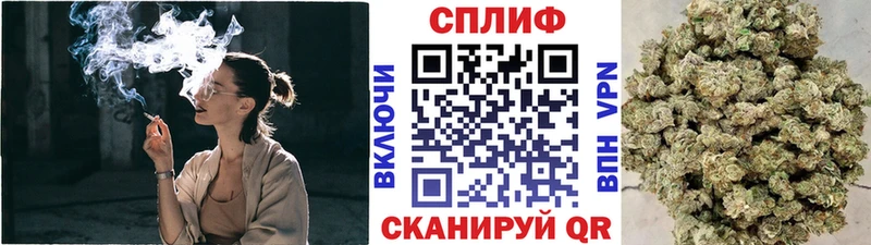 где продают наркотики  Заводоуковск  Бошки марихуана Bruce Banner 